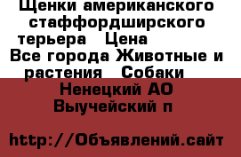 Щенки американского стаффордширского терьера › Цена ­ 20 000 - Все города Животные и растения » Собаки   . Ненецкий АО,Выучейский п.